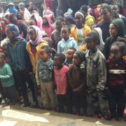 Gadisa Lemi Humanirian Organization