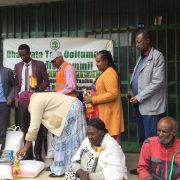 Gadisa Lemi Humanirian Organization