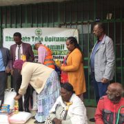 Gadisa Lemi Humanirian Organization